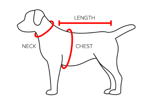 Adidog clearance size chart