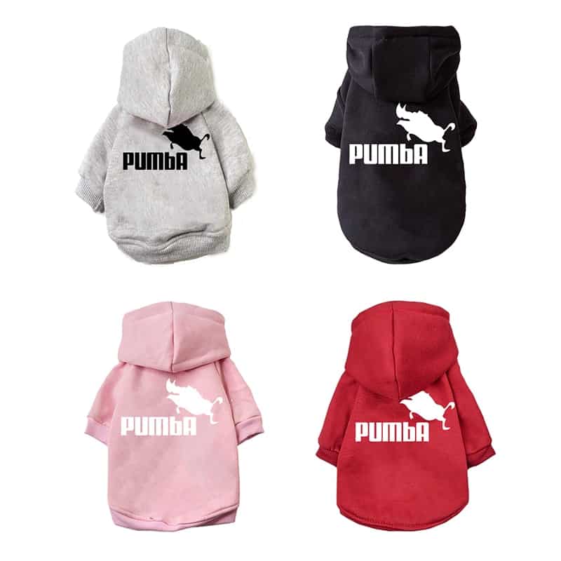 puma dog outfit