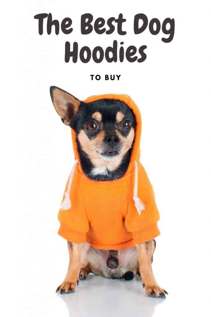 The Best Dog Hoodies to Buy in 2021 - shoppy.dog