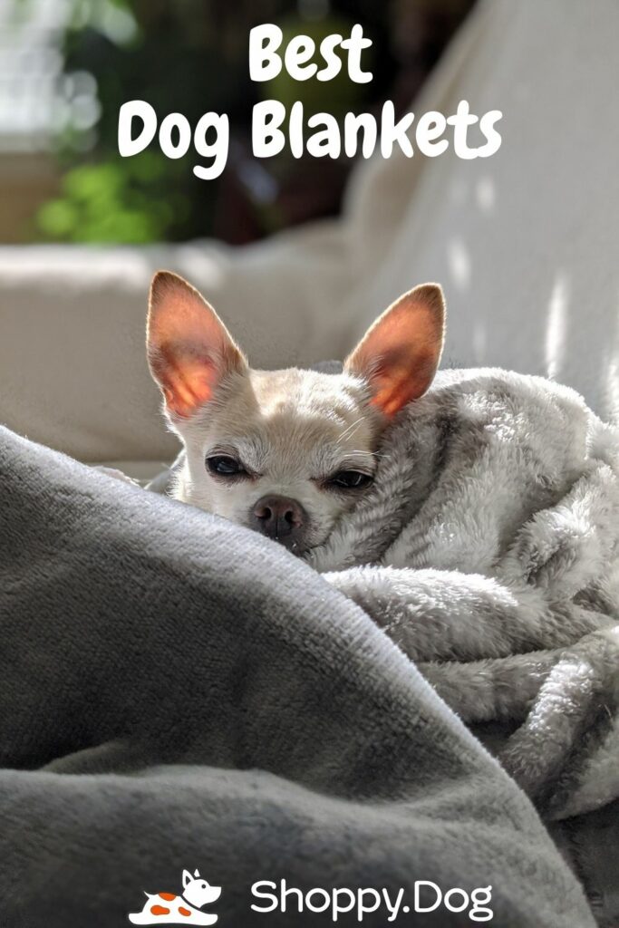xuxirthv Flannel Plush Best Throw Blanket Tropical Chihuahua Summer Hawaiian Dog Design Blankets for Better Sleep Work Super Thick Washable60X50inch
