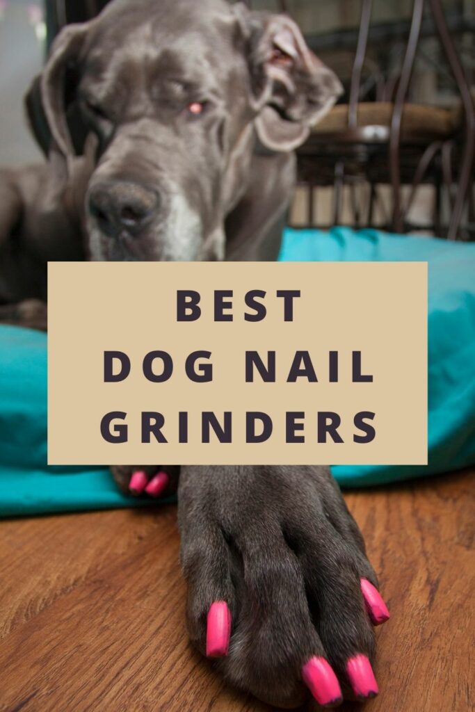 Best Dog Nail Grinders