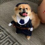 Police Dog Costume