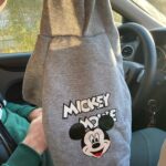 Mickey Mouse Dog Hoodie