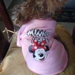 Minnie Mouse Pullover