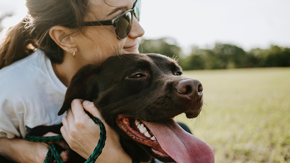 Why Do Dogs Lick You? – Forbes Advisor